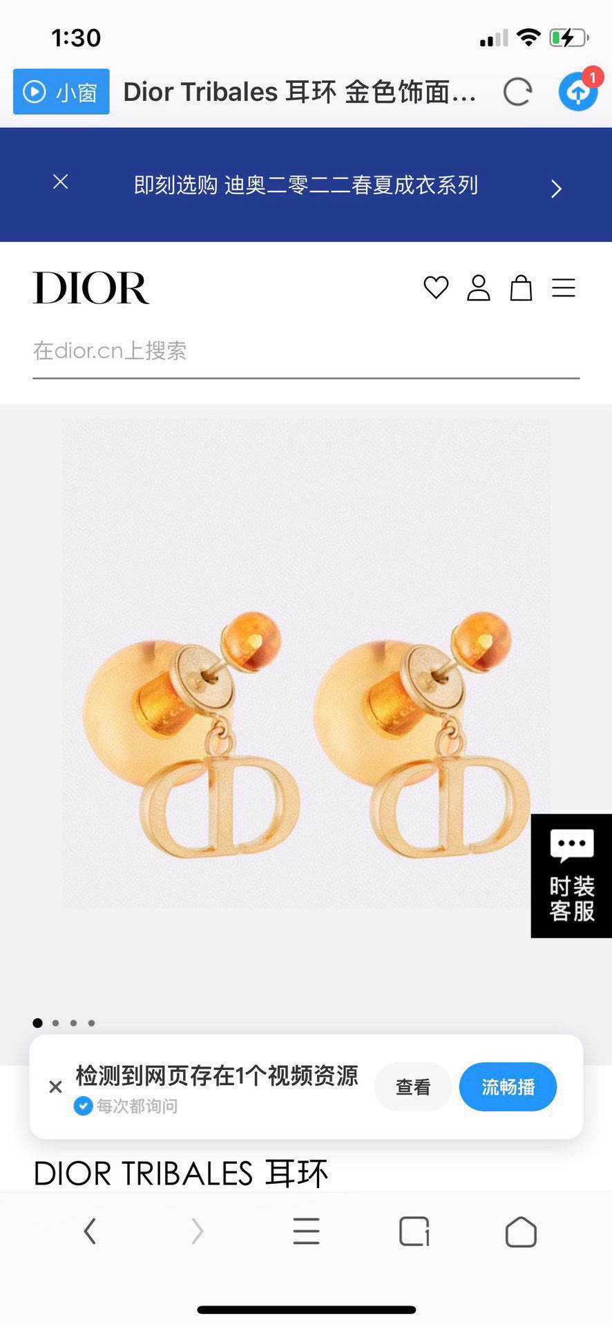 Earrings Jewelry
