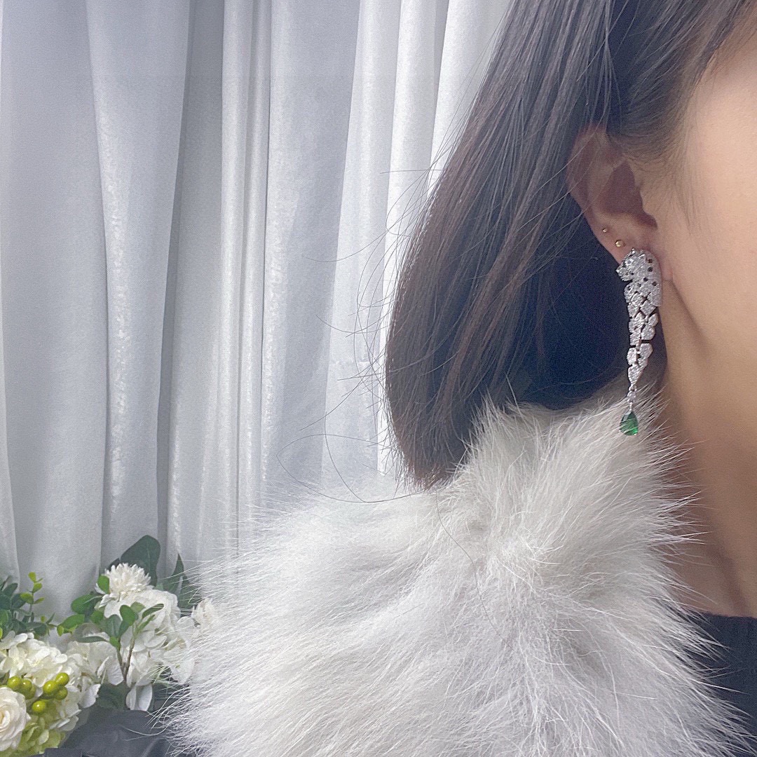 Earrings Jewelry