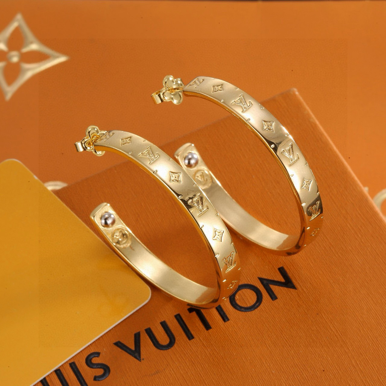 Earrings Jewelry
