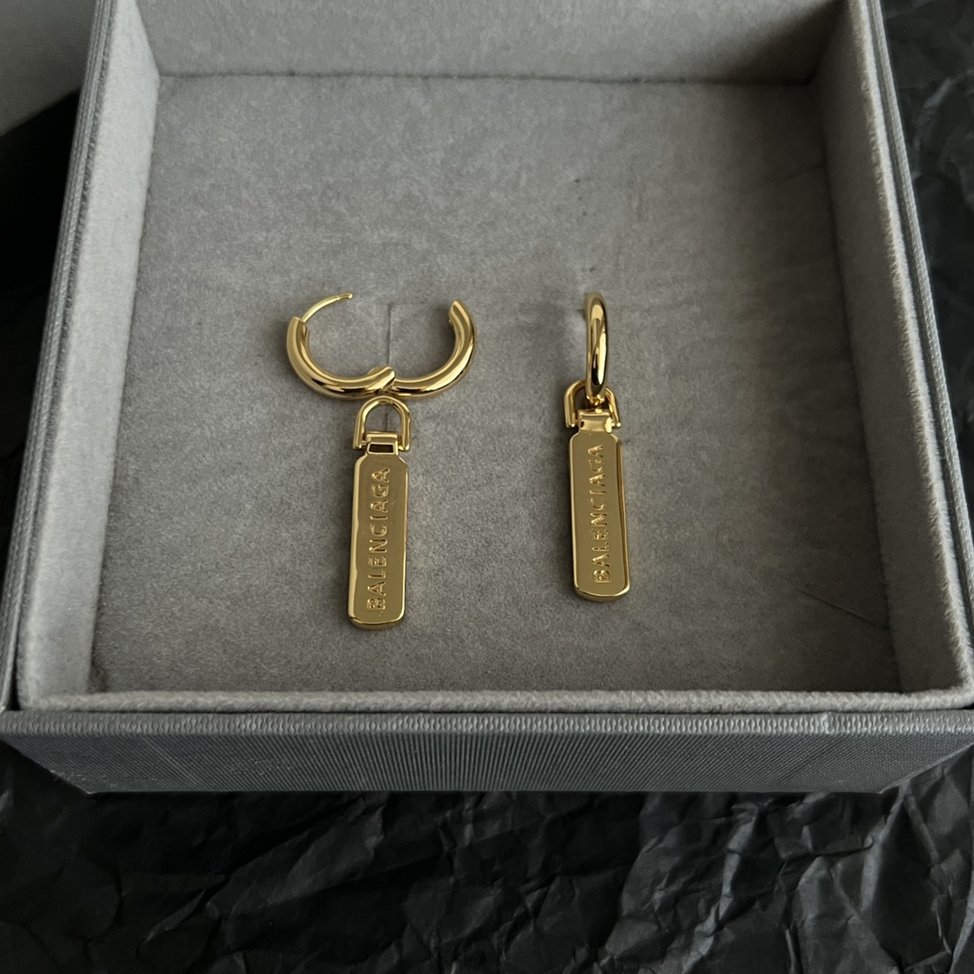 Earrings Jewelry