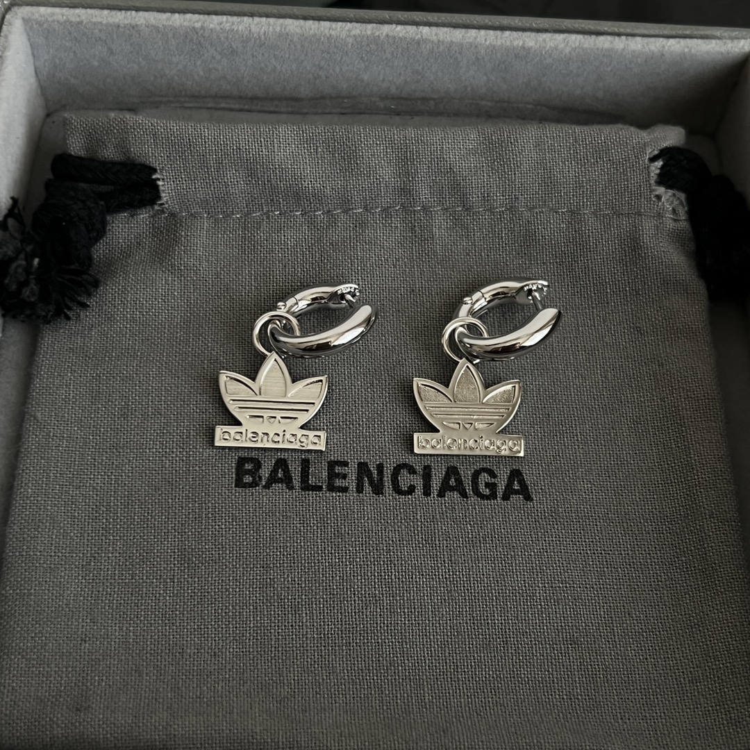 Earrings Jewelry