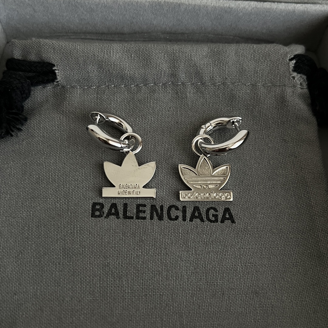 Earrings Jewelry