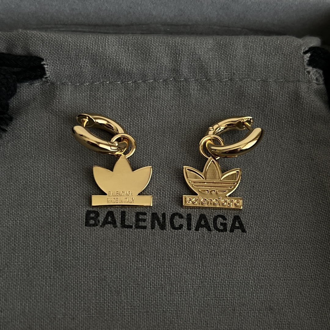 Earrings Jewelry