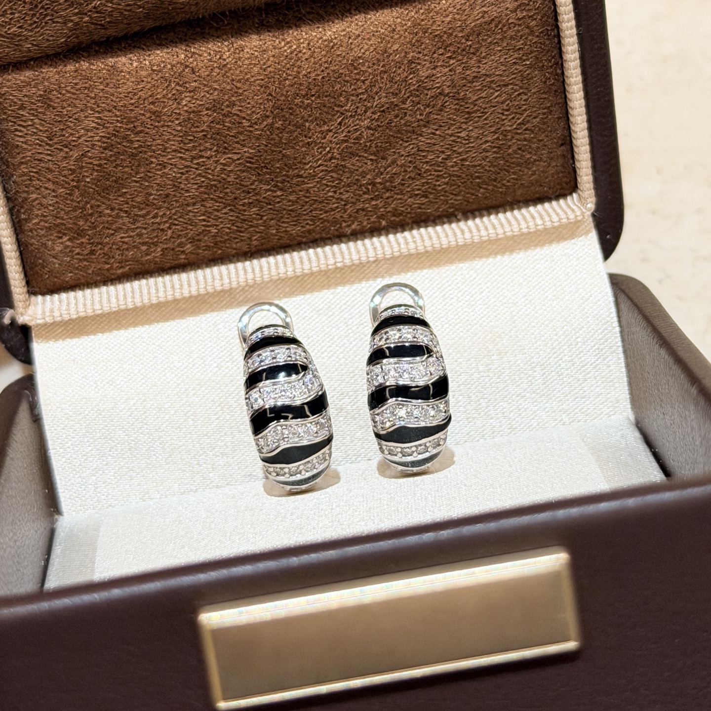 Earrings Jewelry