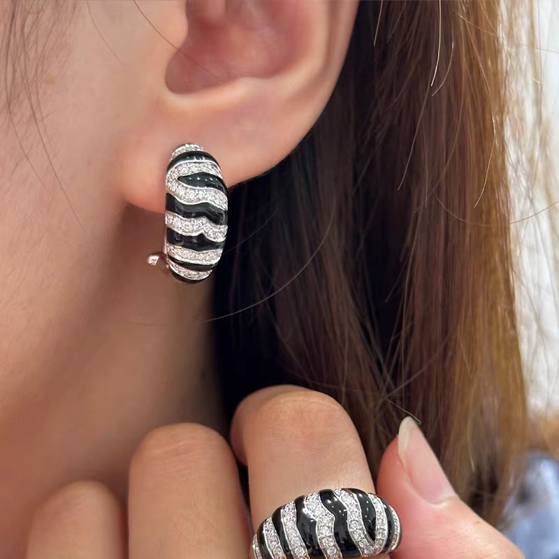 Earrings Jewelry
