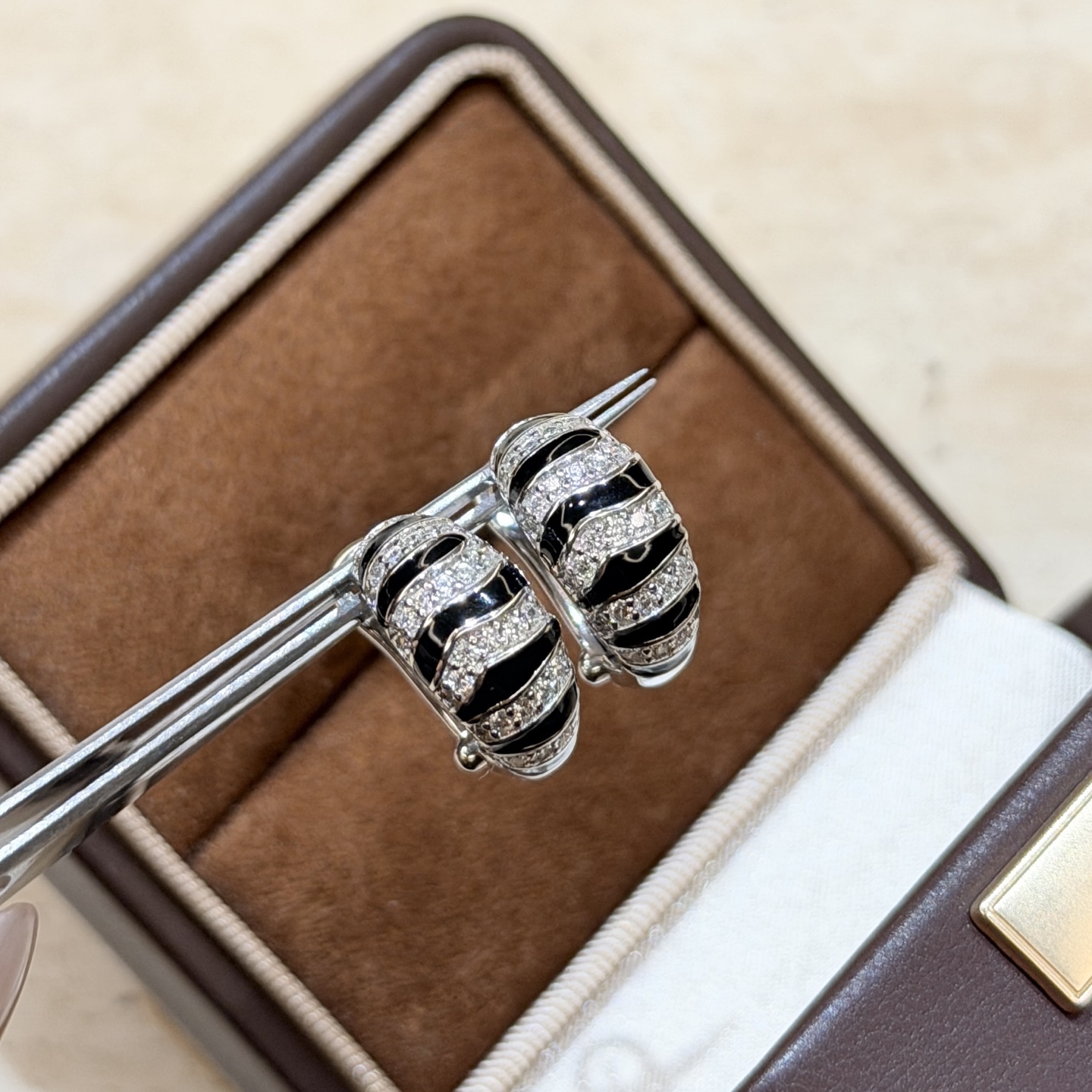 Earrings Jewelry