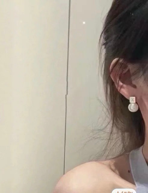 Earrings Jewelry