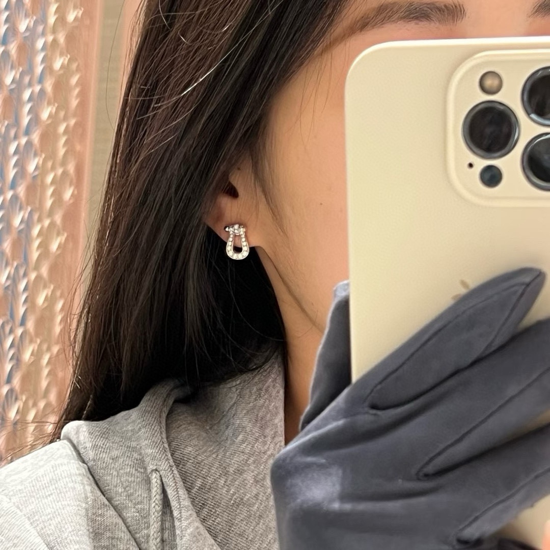 Earrings Jewelry