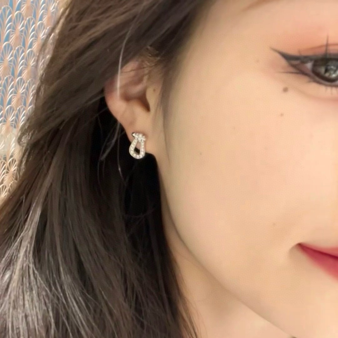 Earrings Jewelry
