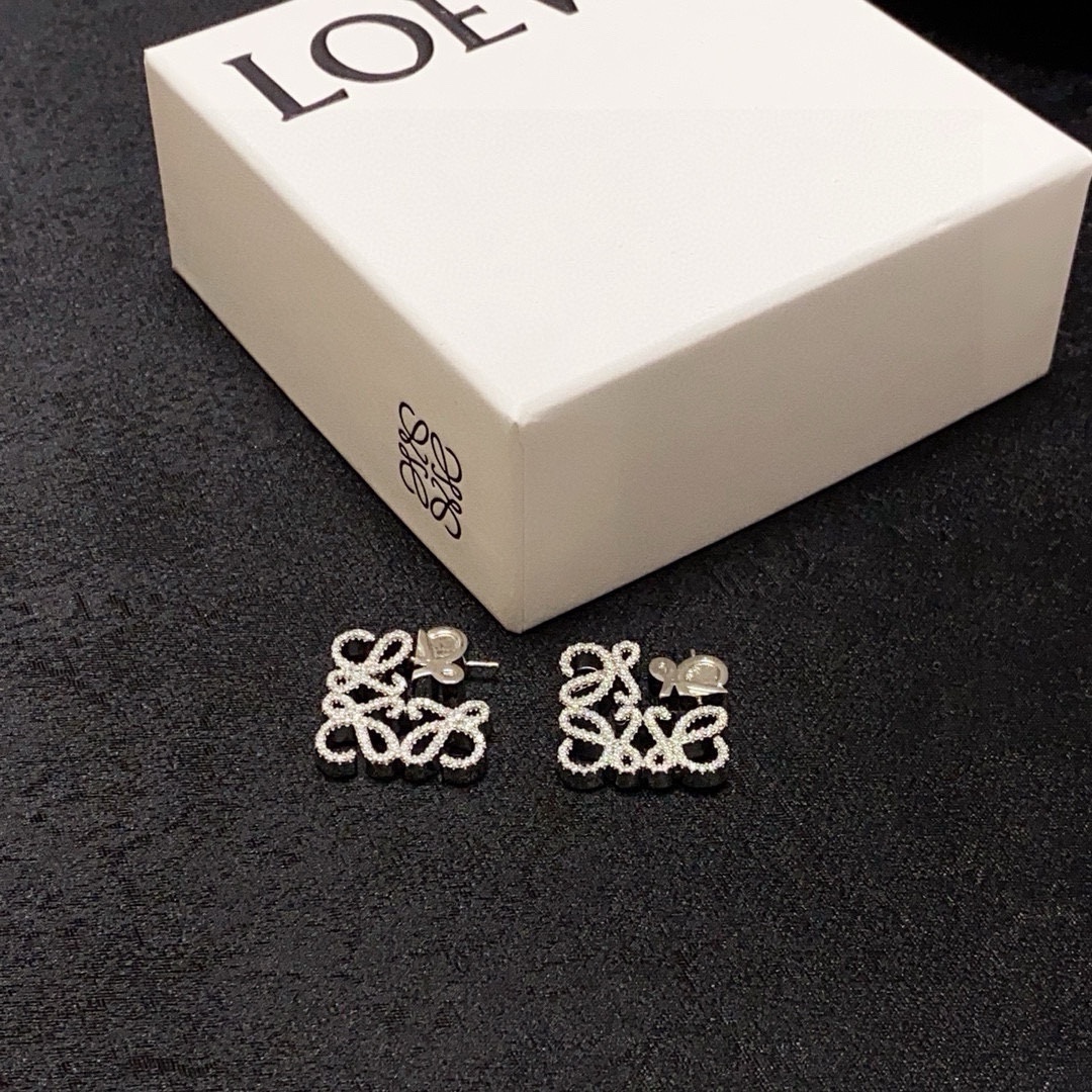 Earrings Jewelry