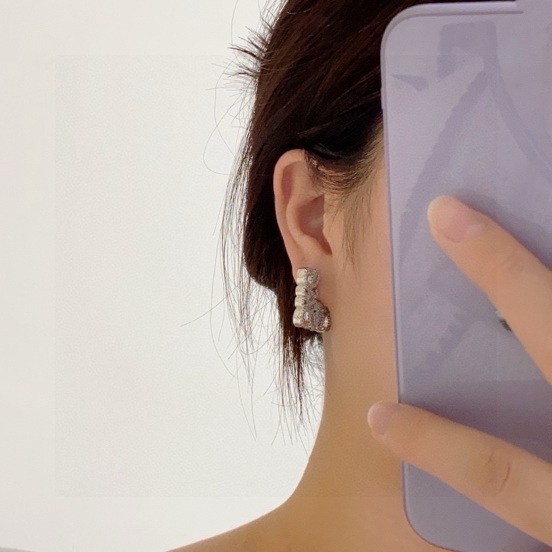Earrings Jewelry
