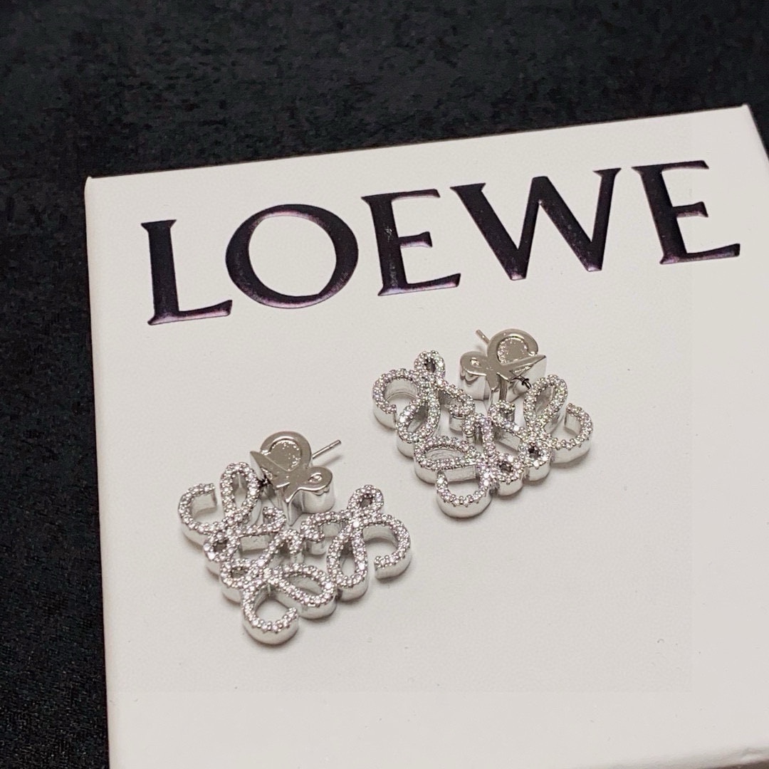 Earrings Jewelry