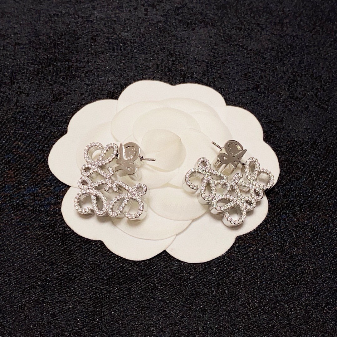 Earrings Jewelry