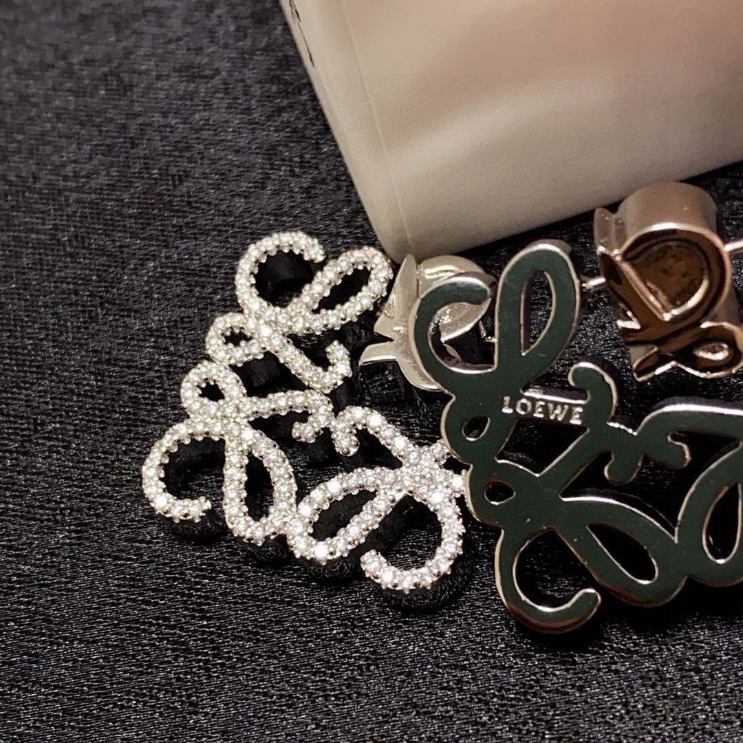 Earrings Jewelry