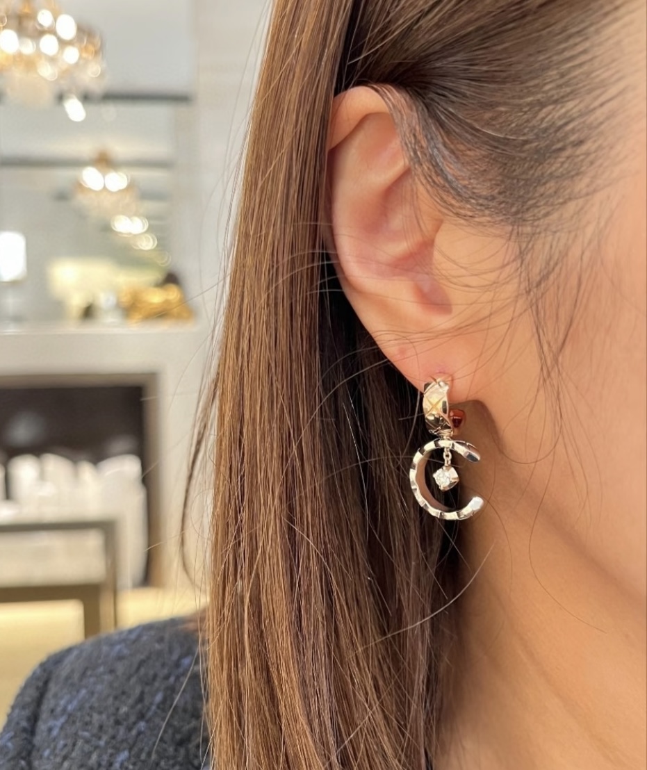 Earrings Jewelry