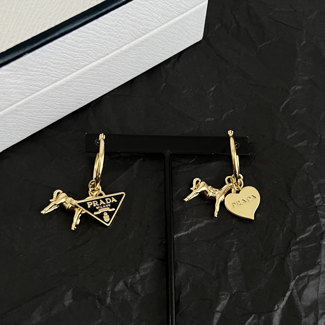 Earrings Jewelry