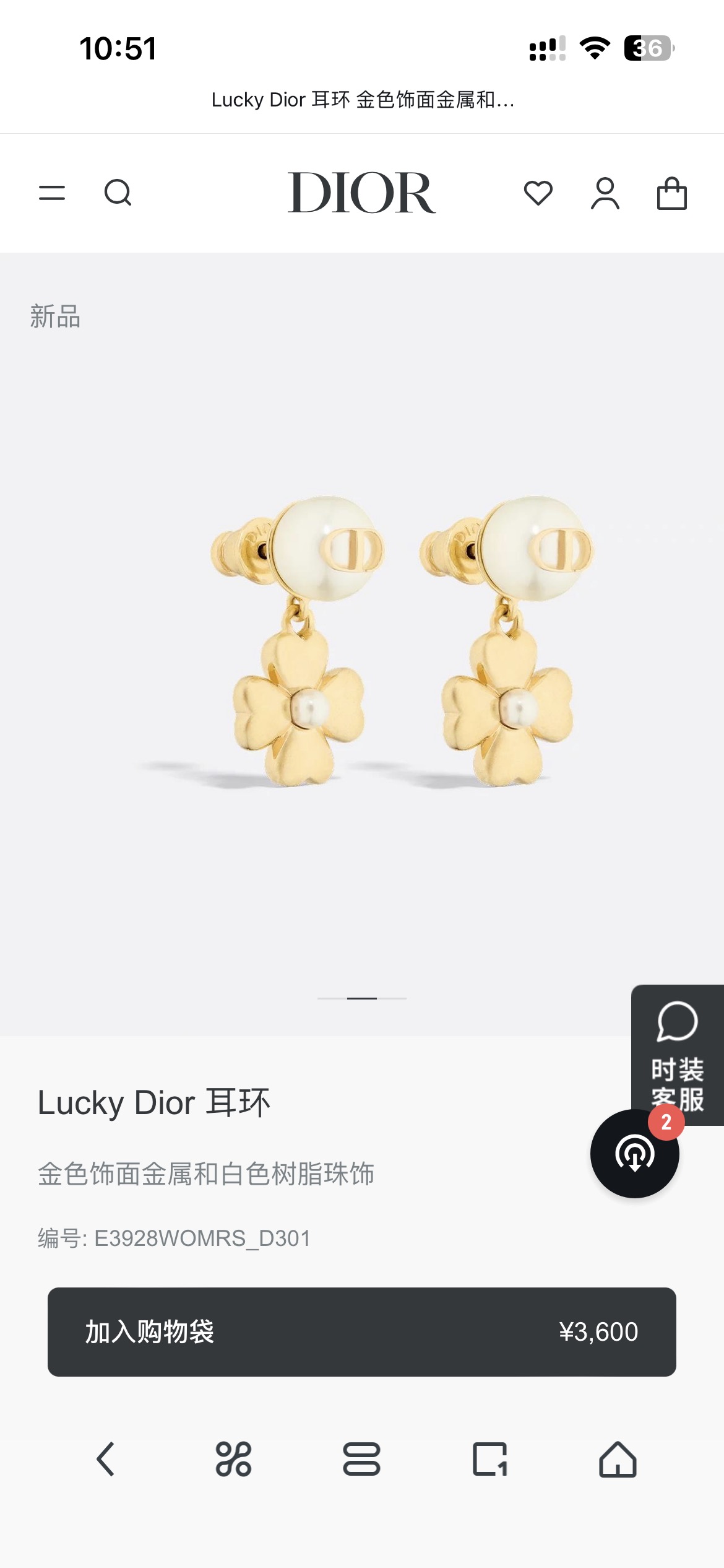Earrings Jewelry