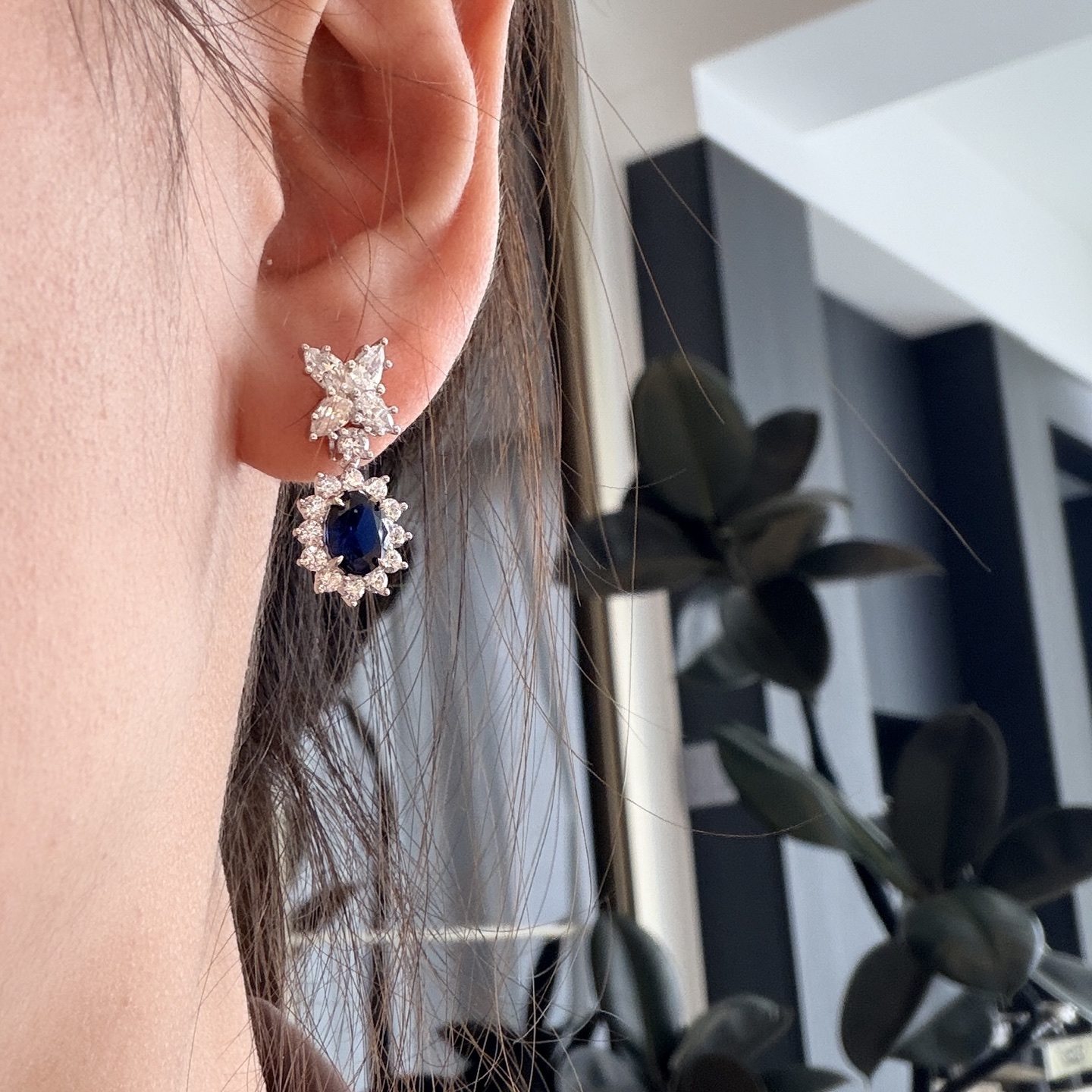 Earrings Jewelry