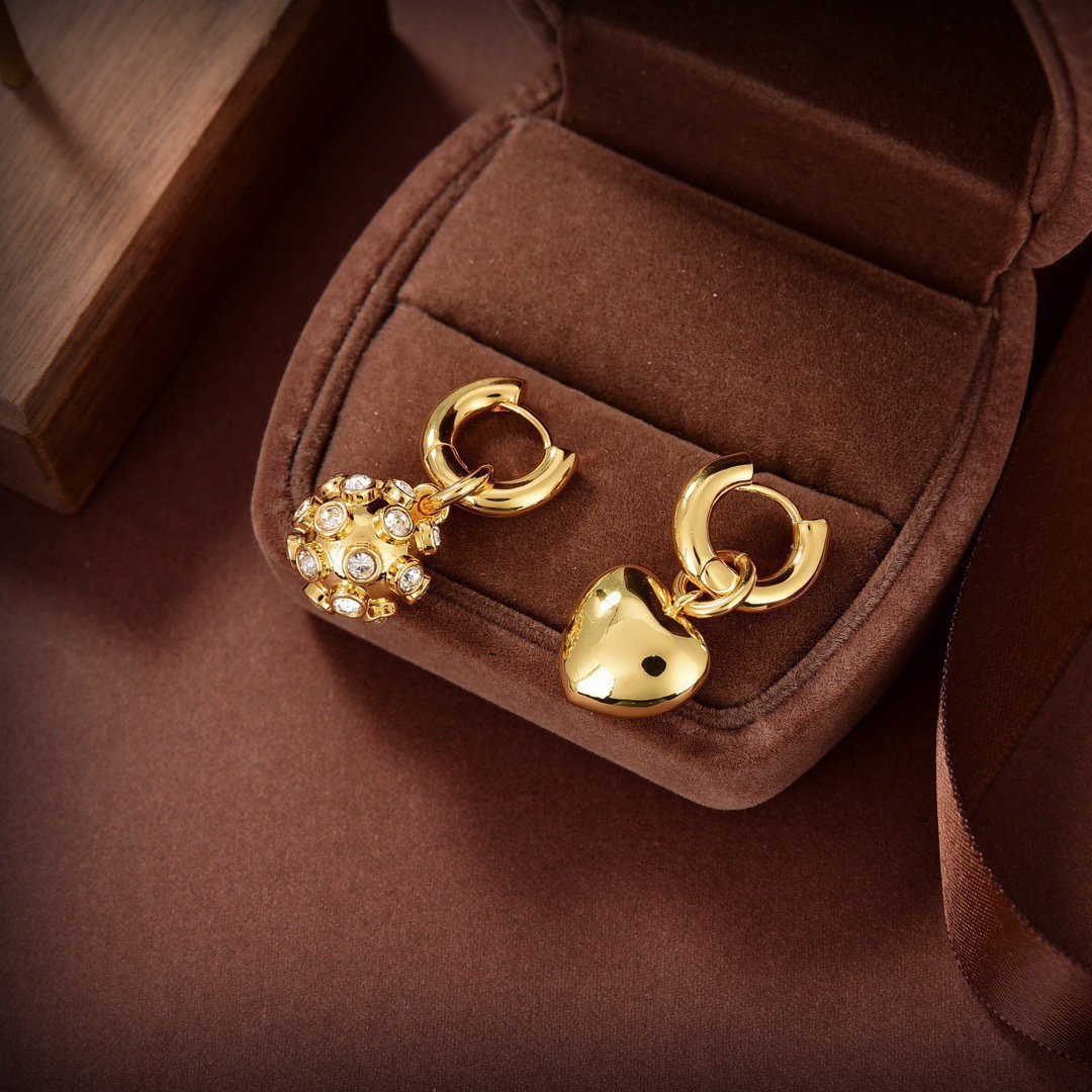 Earrings Jewelry
