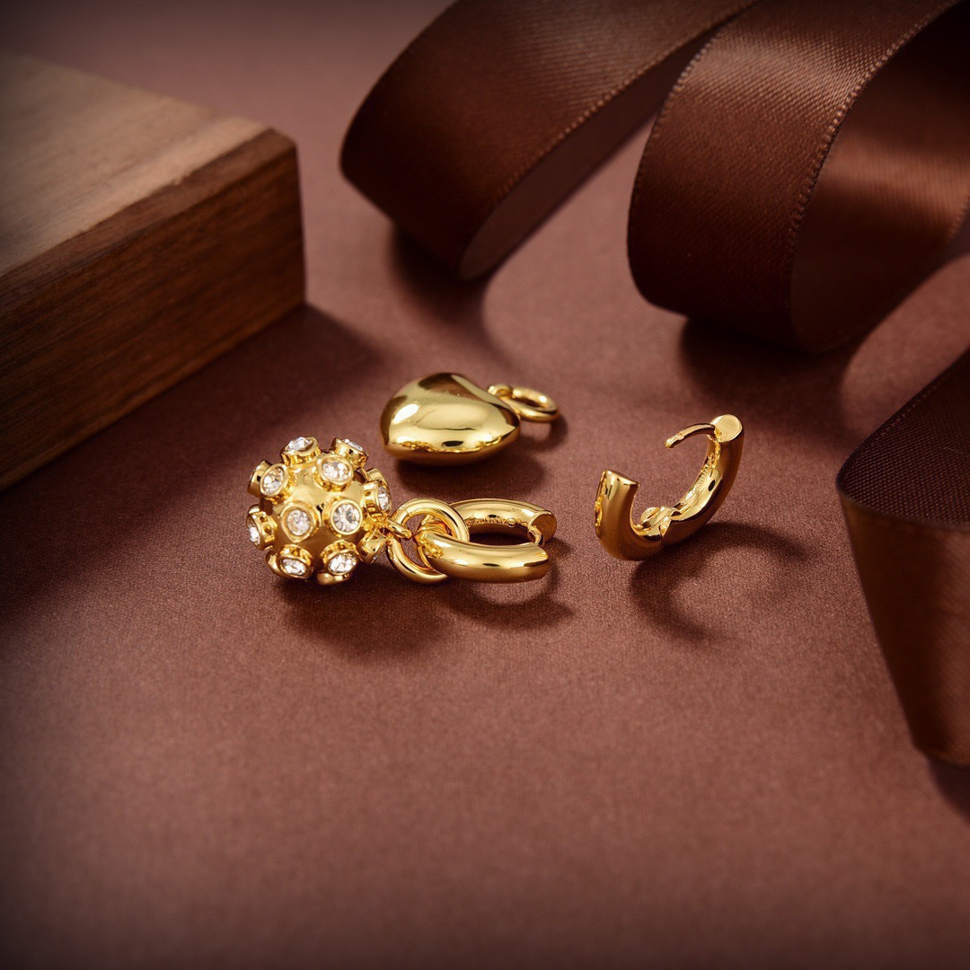 Earrings Jewelry