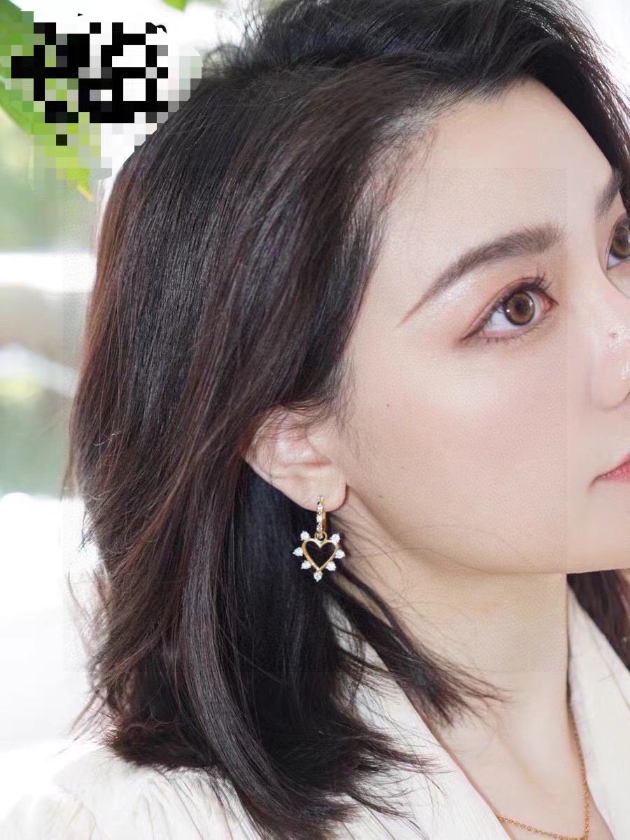 Earrings Jewelry
