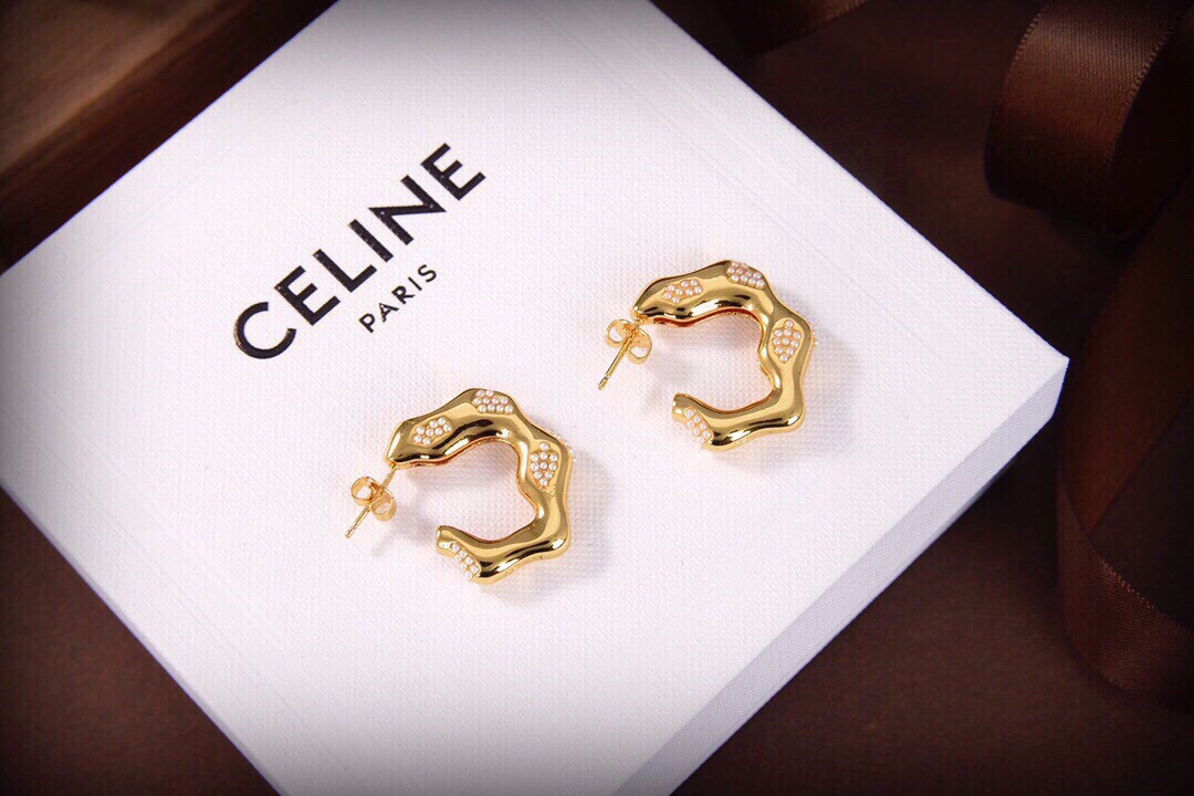 Earrings Jewelry