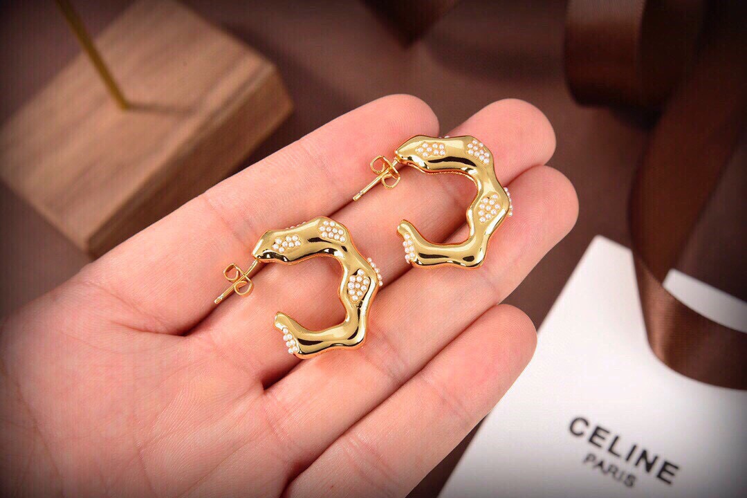 Earrings Jewelry