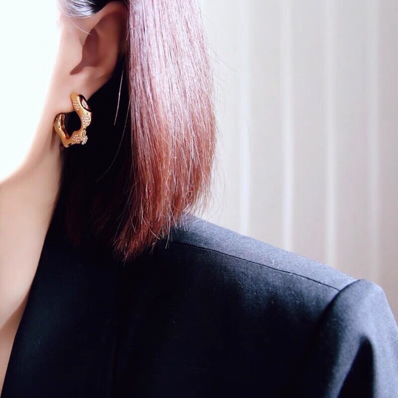 Earrings Jewelry