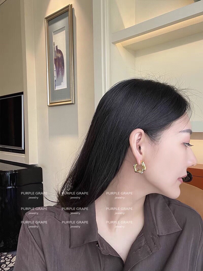 Earrings Jewelry