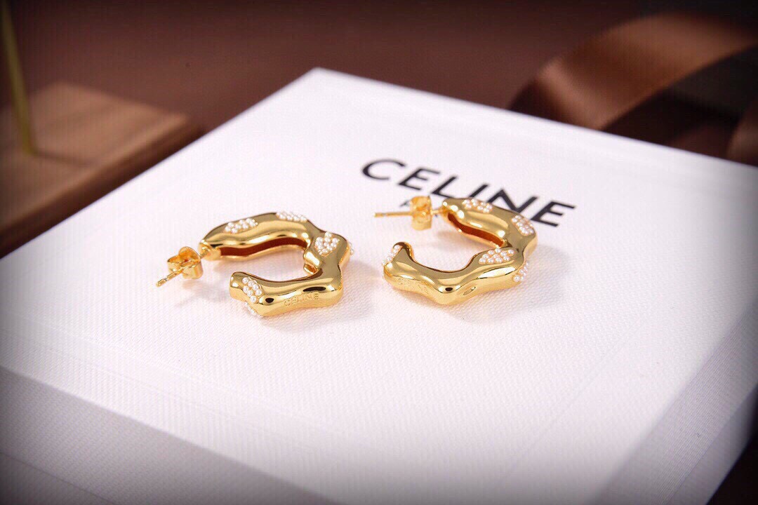 Earrings Jewelry
