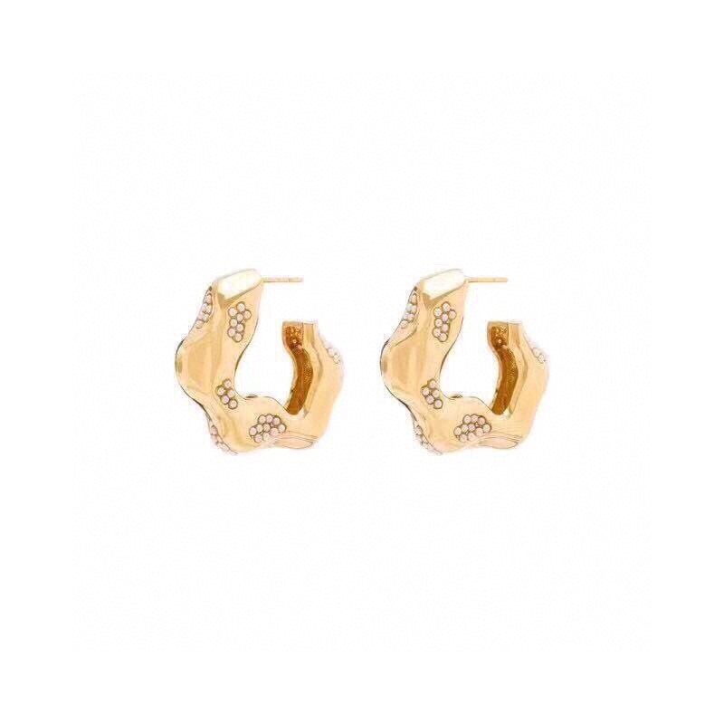 Earrings Jewelry