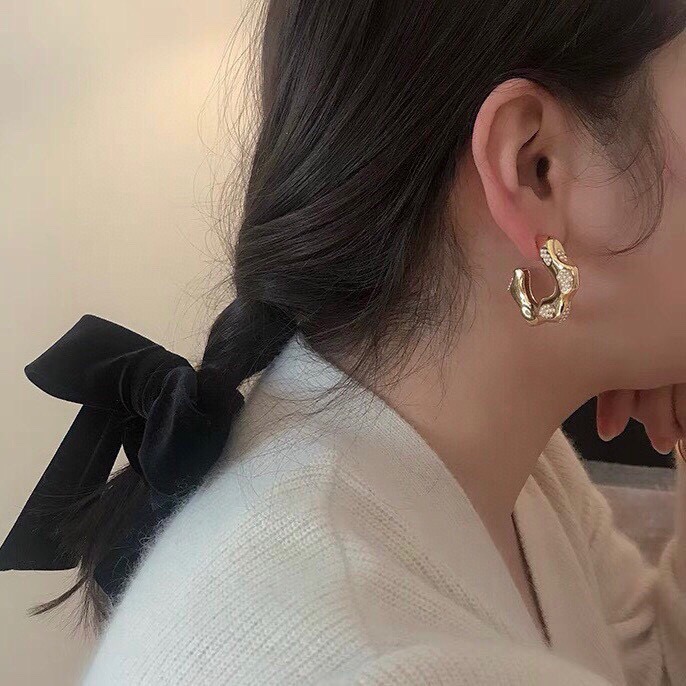 Earrings Jewelry