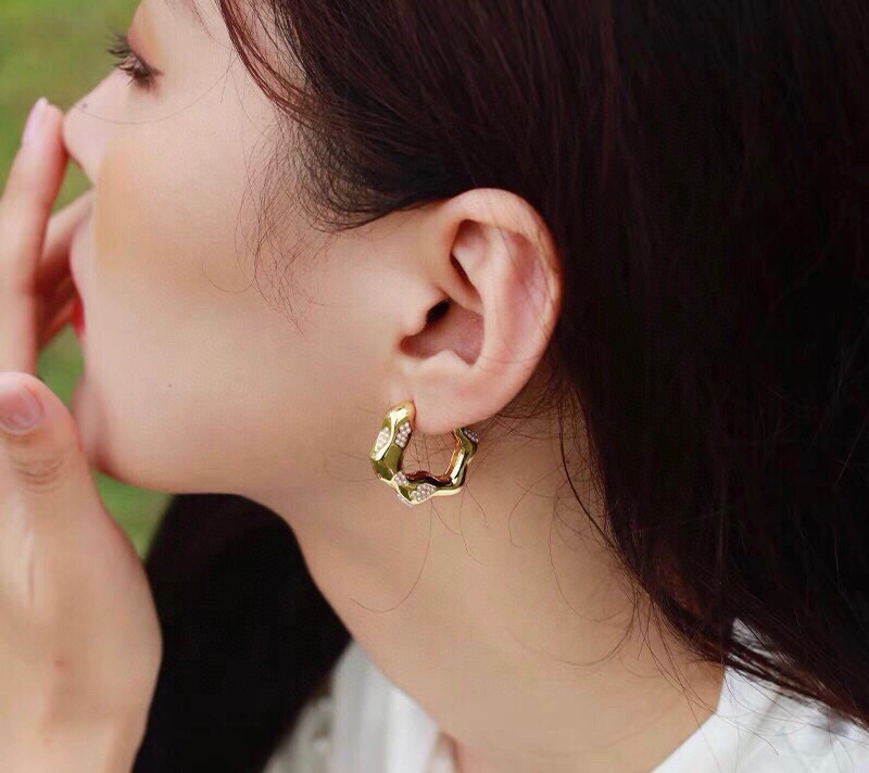 Earrings Jewelry