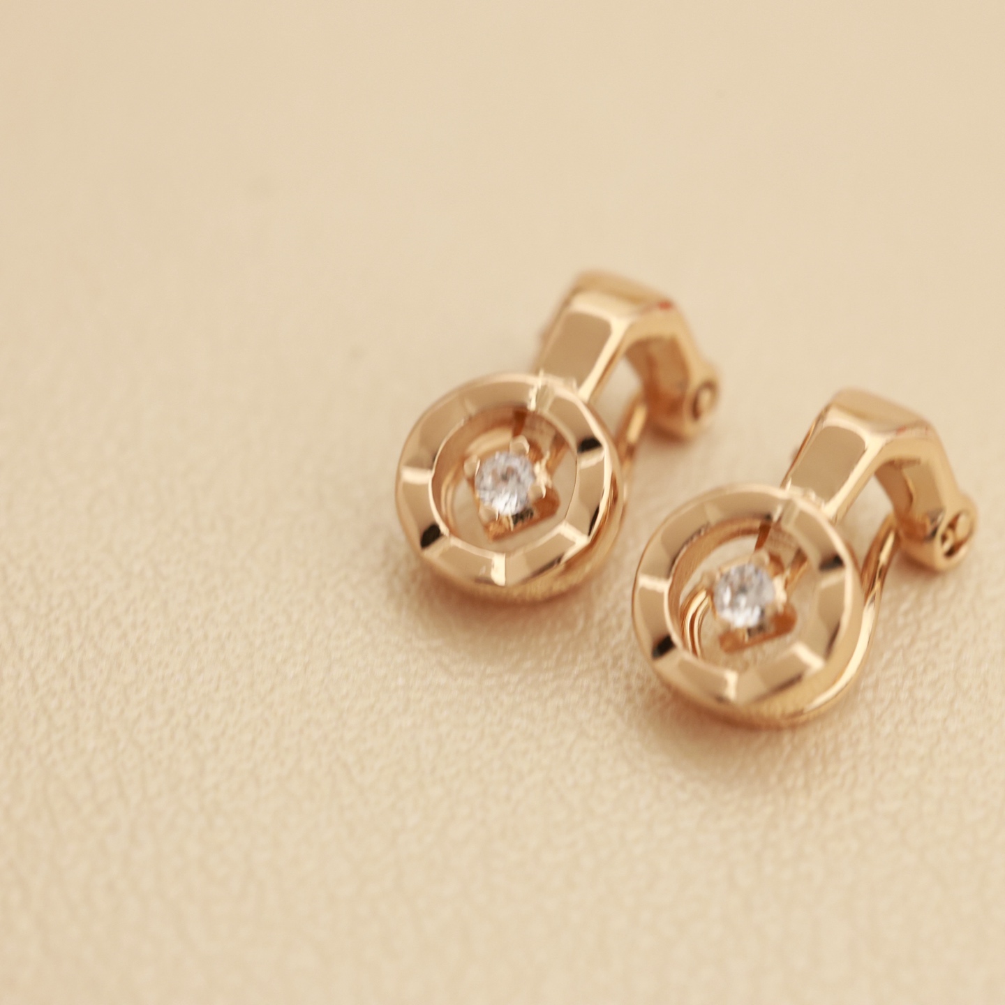 Earrings Jewelry