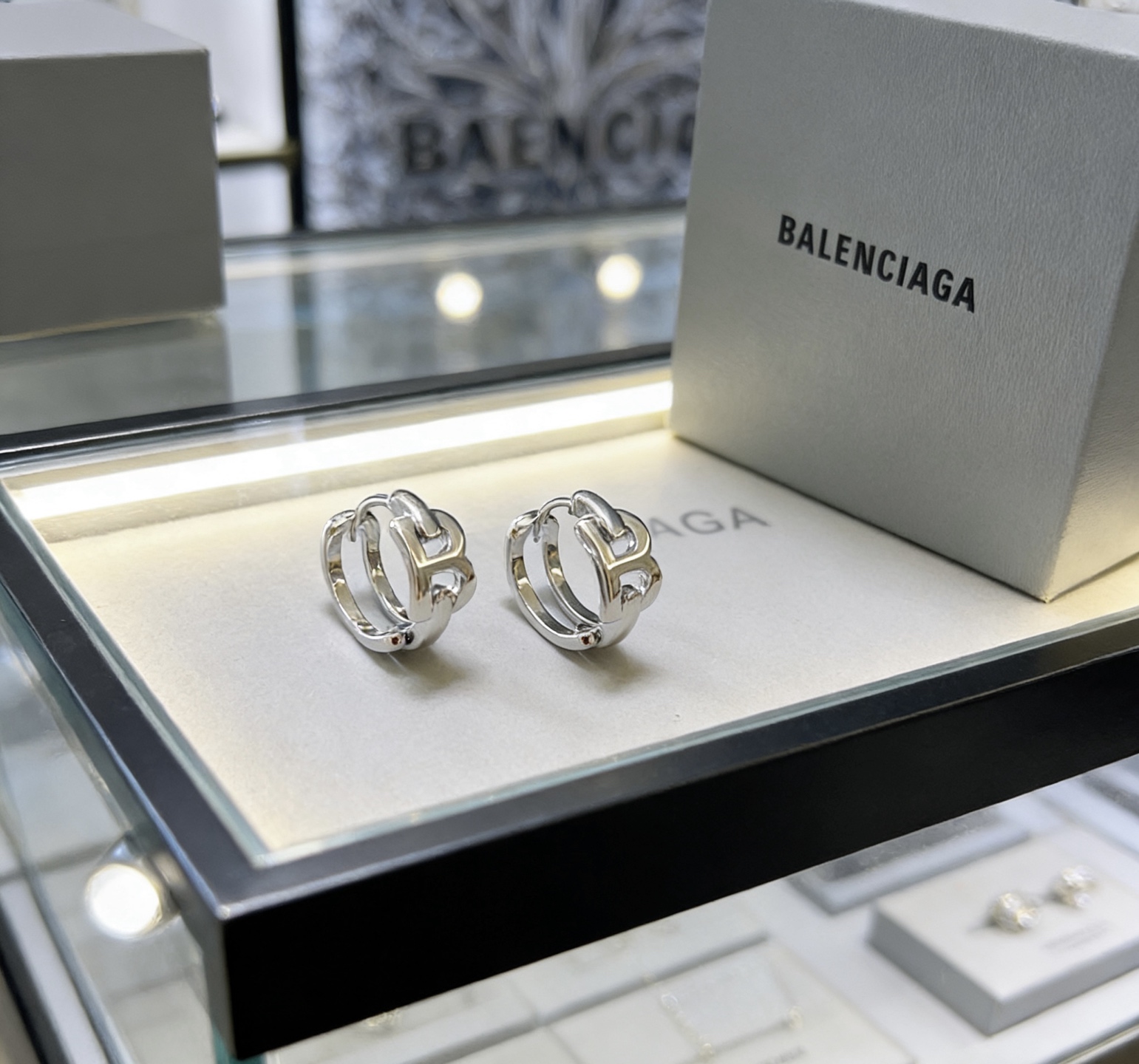 Earrings Jewelry