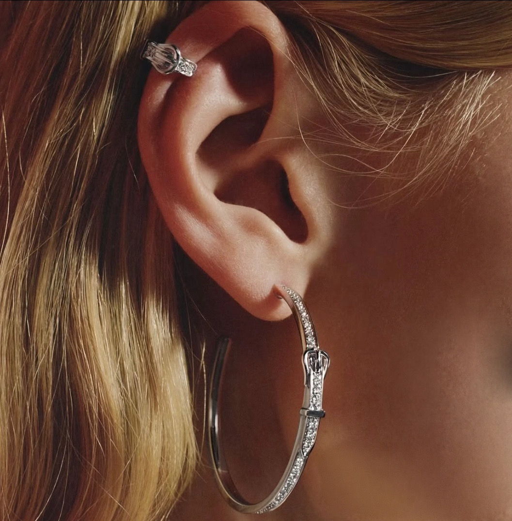 Earrings Jewelry