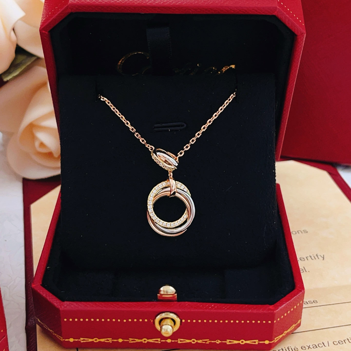 Necklace Jewelry
