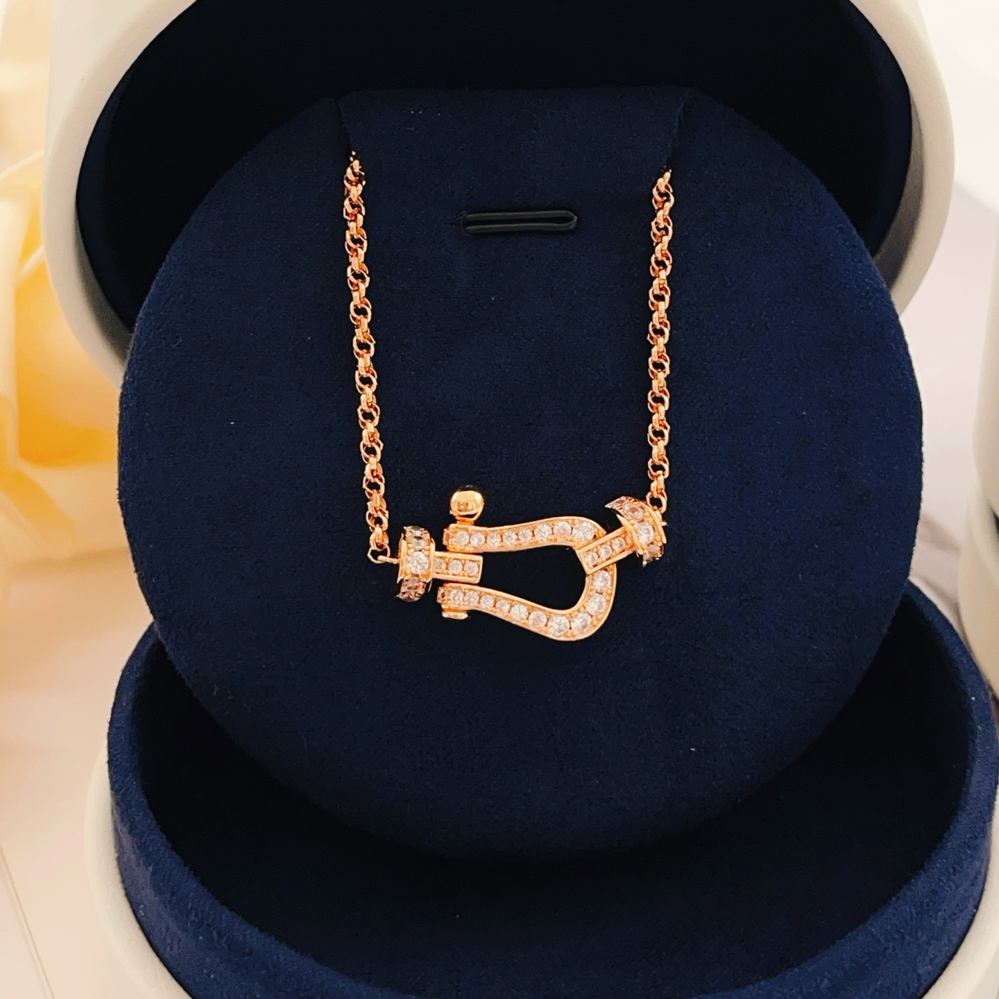 Necklace Jewelry
