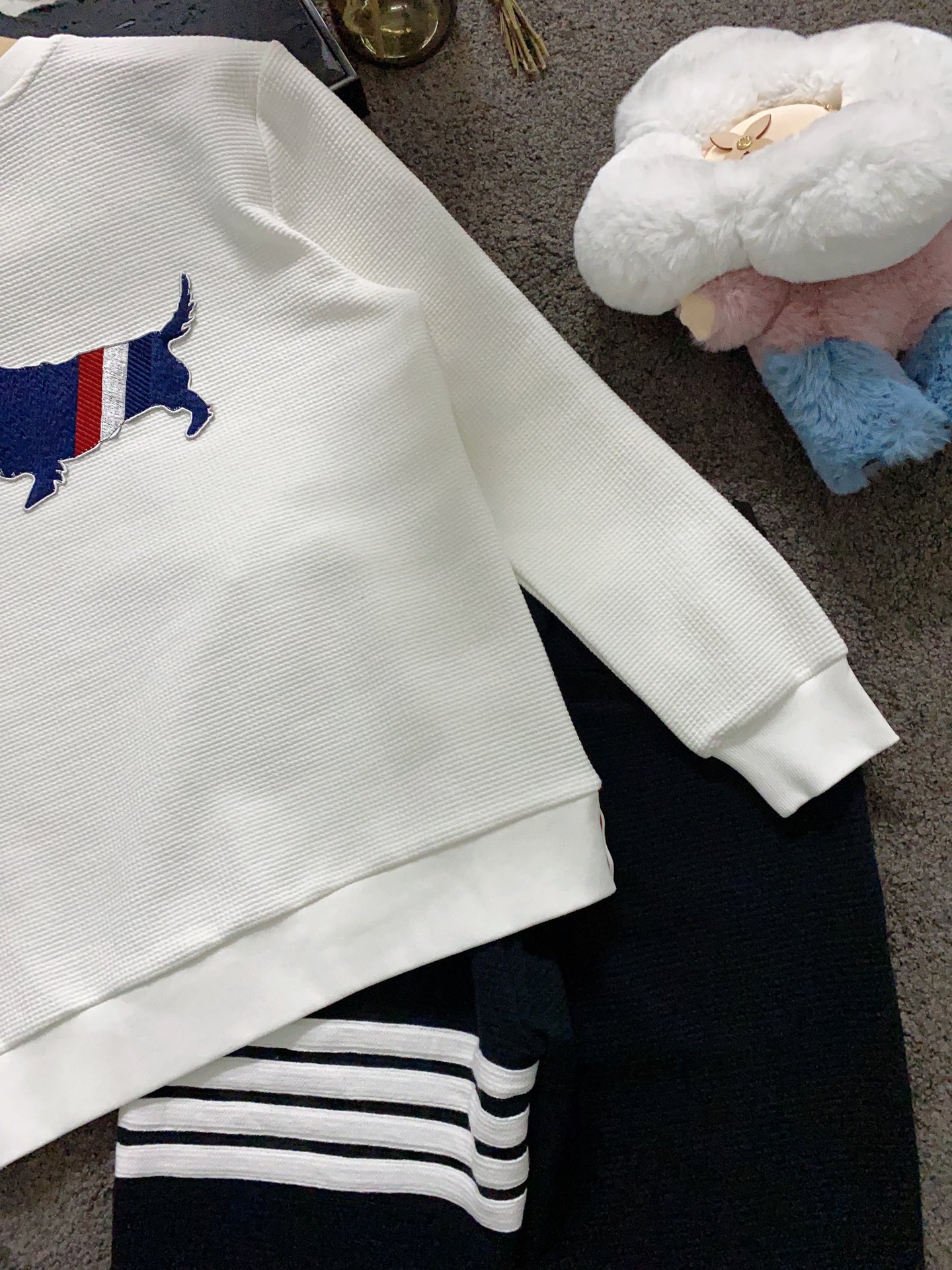 clothes and pants