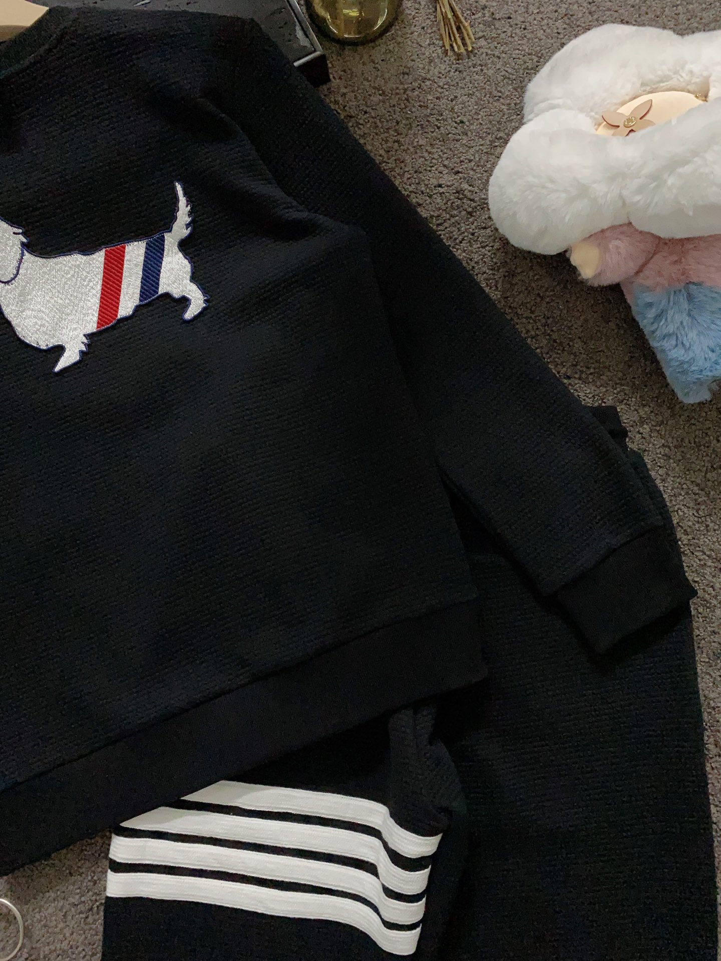 clothes and pants