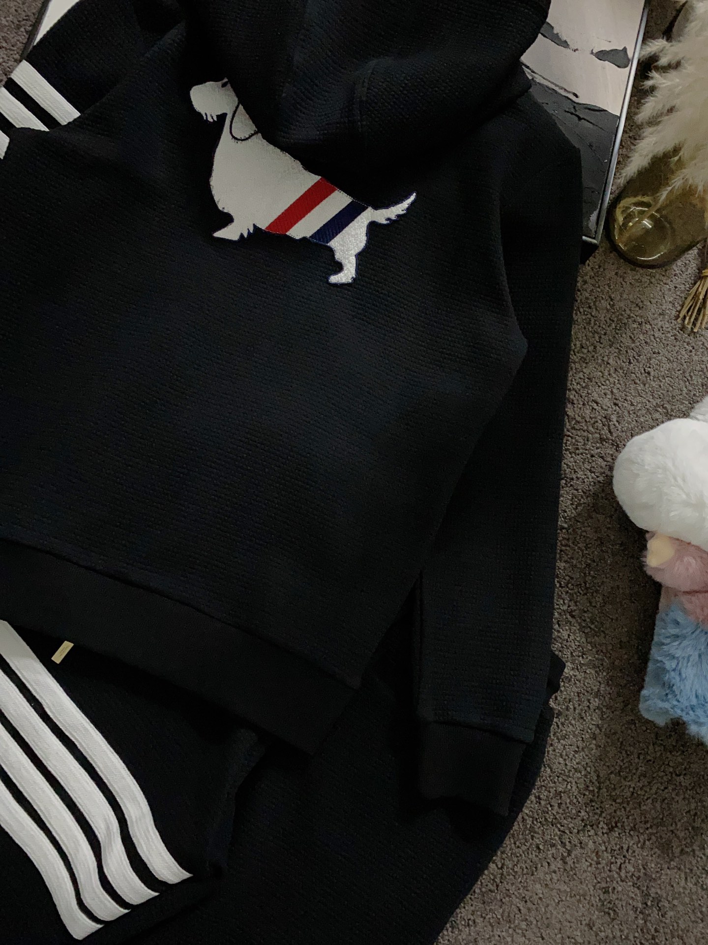 clothes and pants