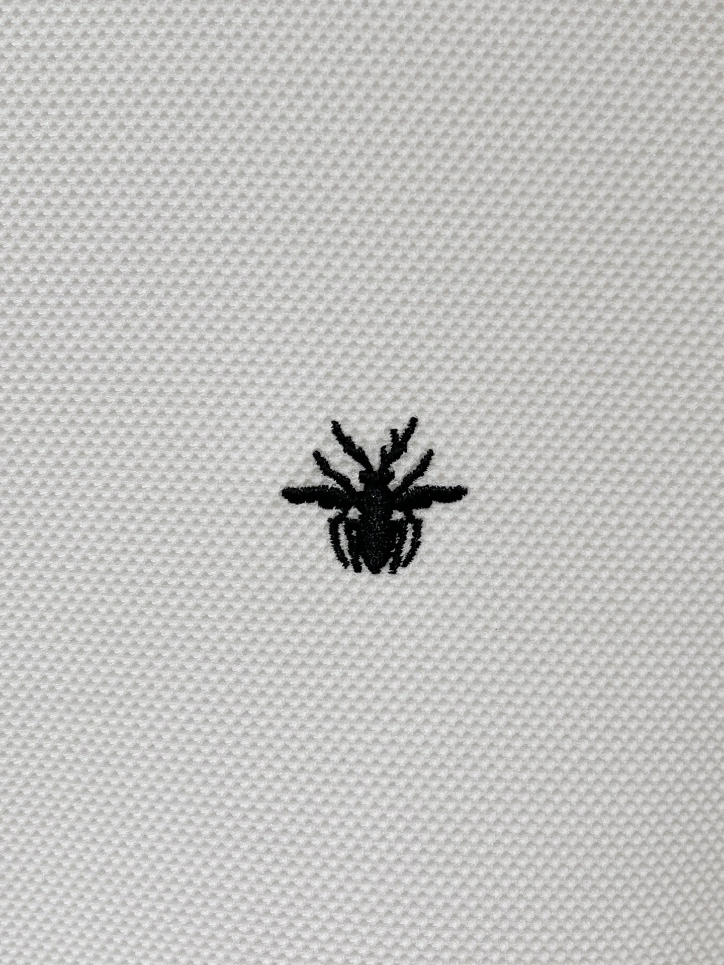 short sleeves