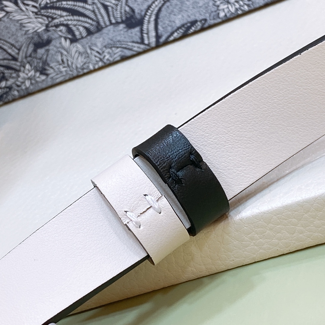 Dior belt