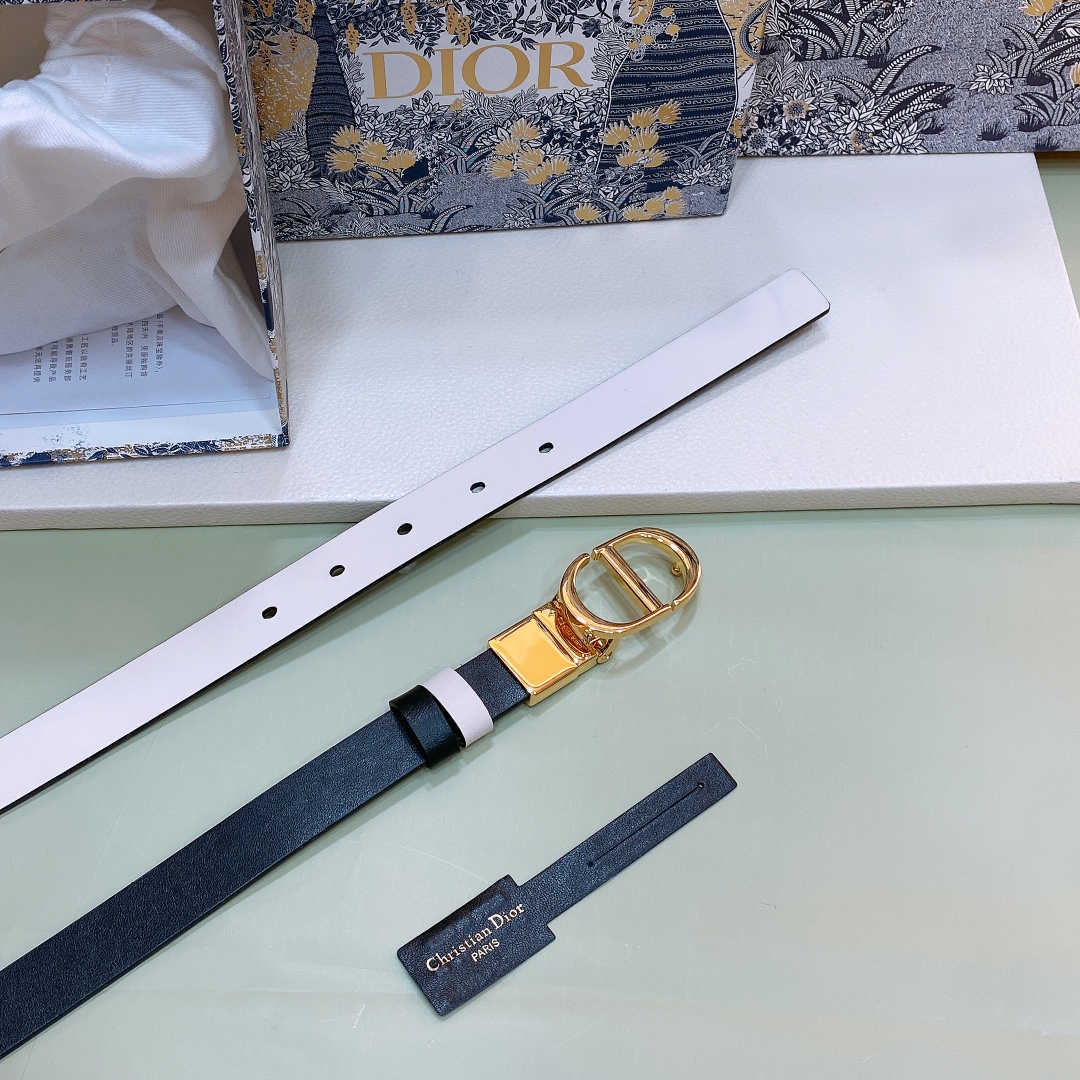 Dior belt