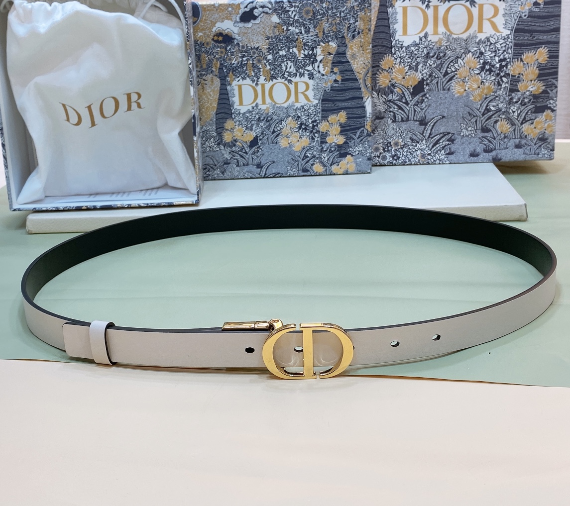 Dior belt
