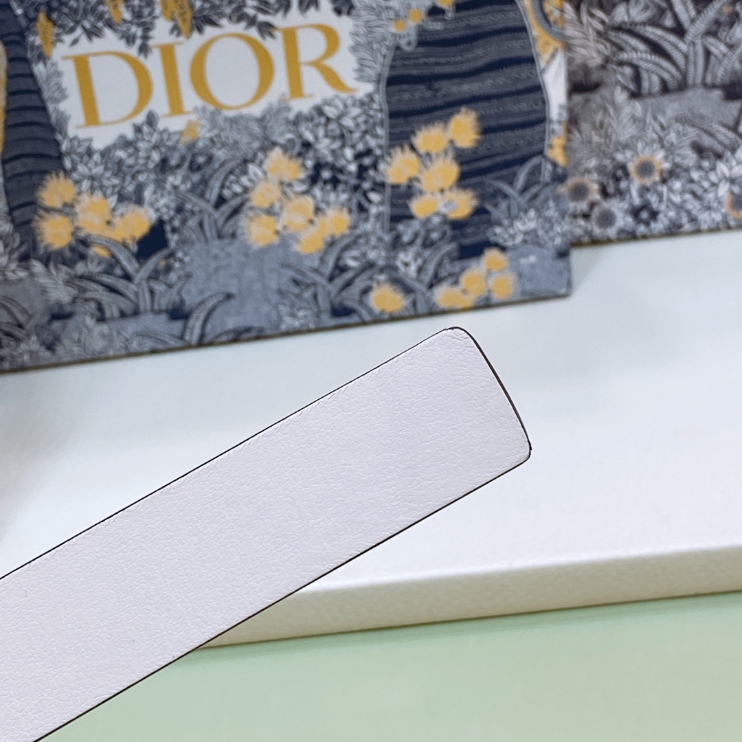 Dior belt