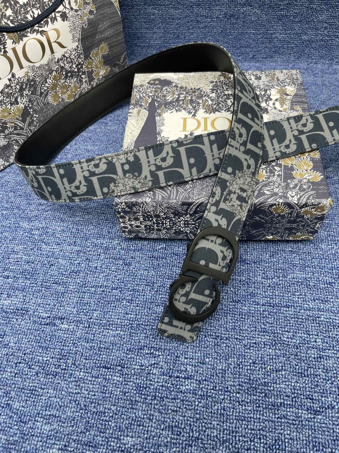 Dior belt
