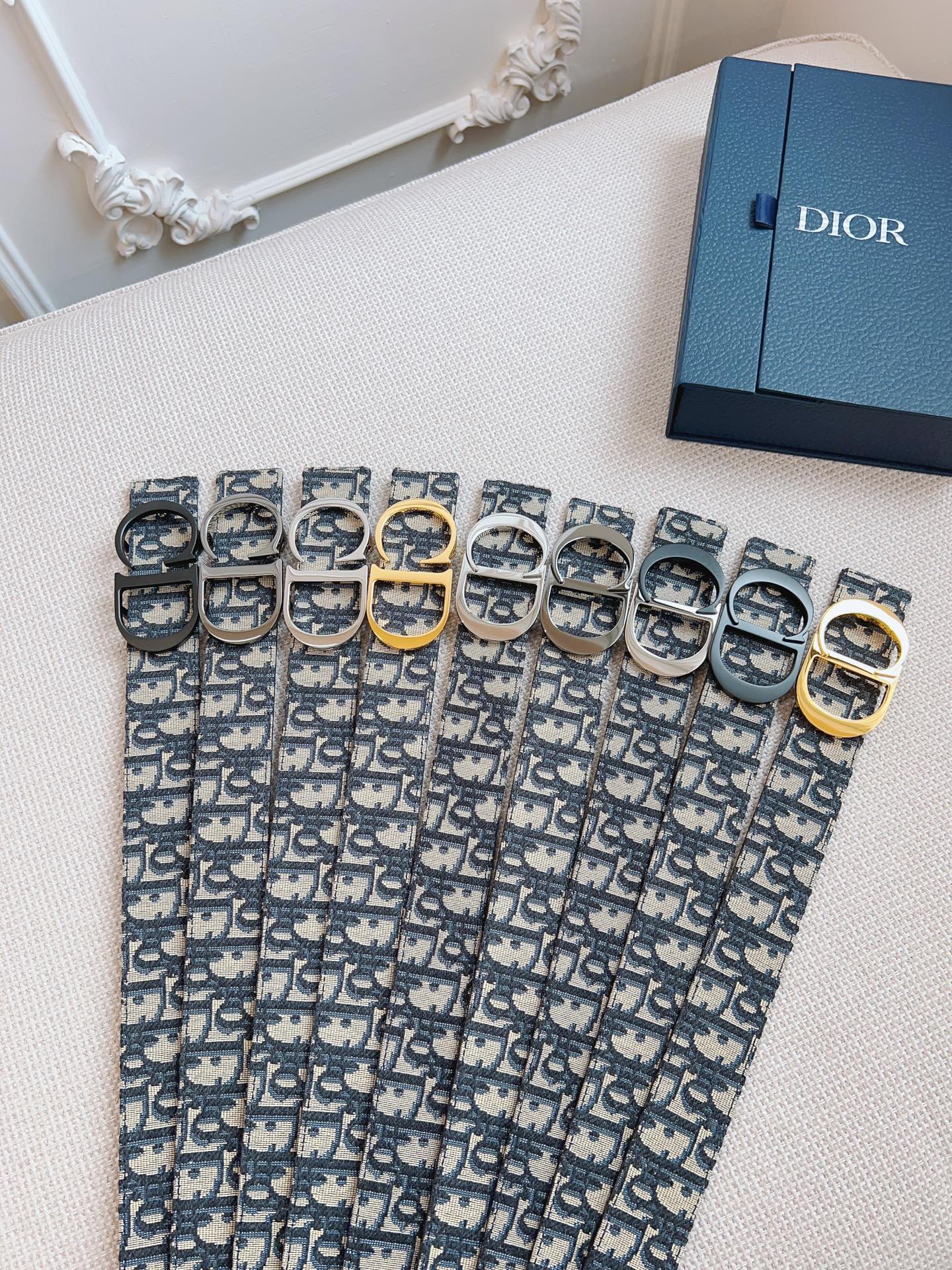 Dior belt