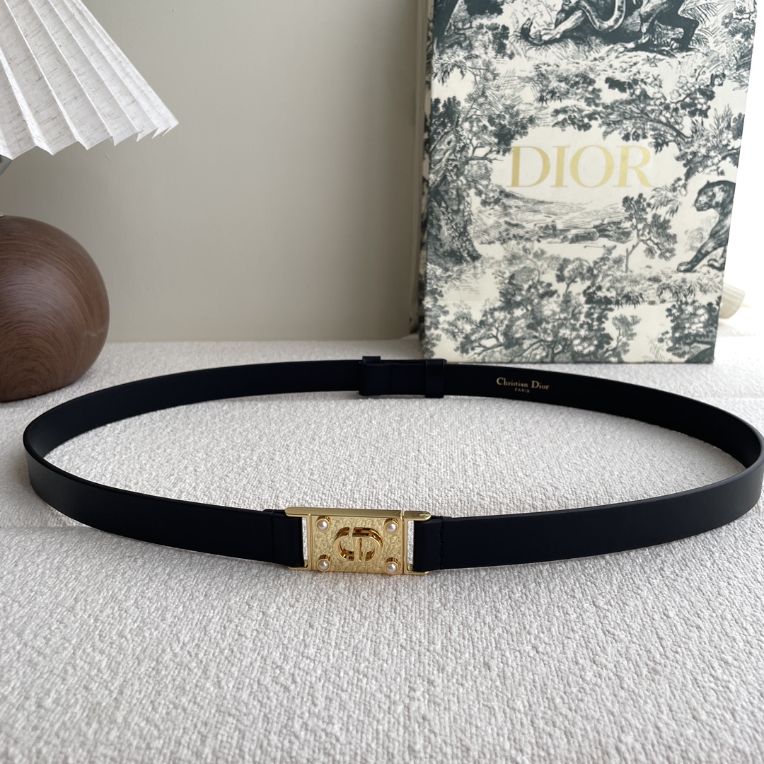 Dior belt