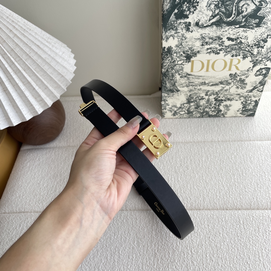 Dior belt